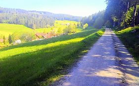 Romantic Style Apartment Titisee-Neustadt
